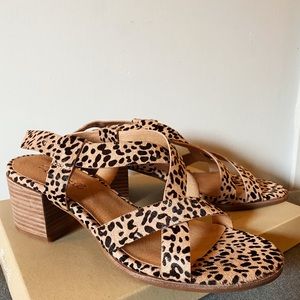 NEVER WORN Madewell 2in heel in Spotted Calf Hair